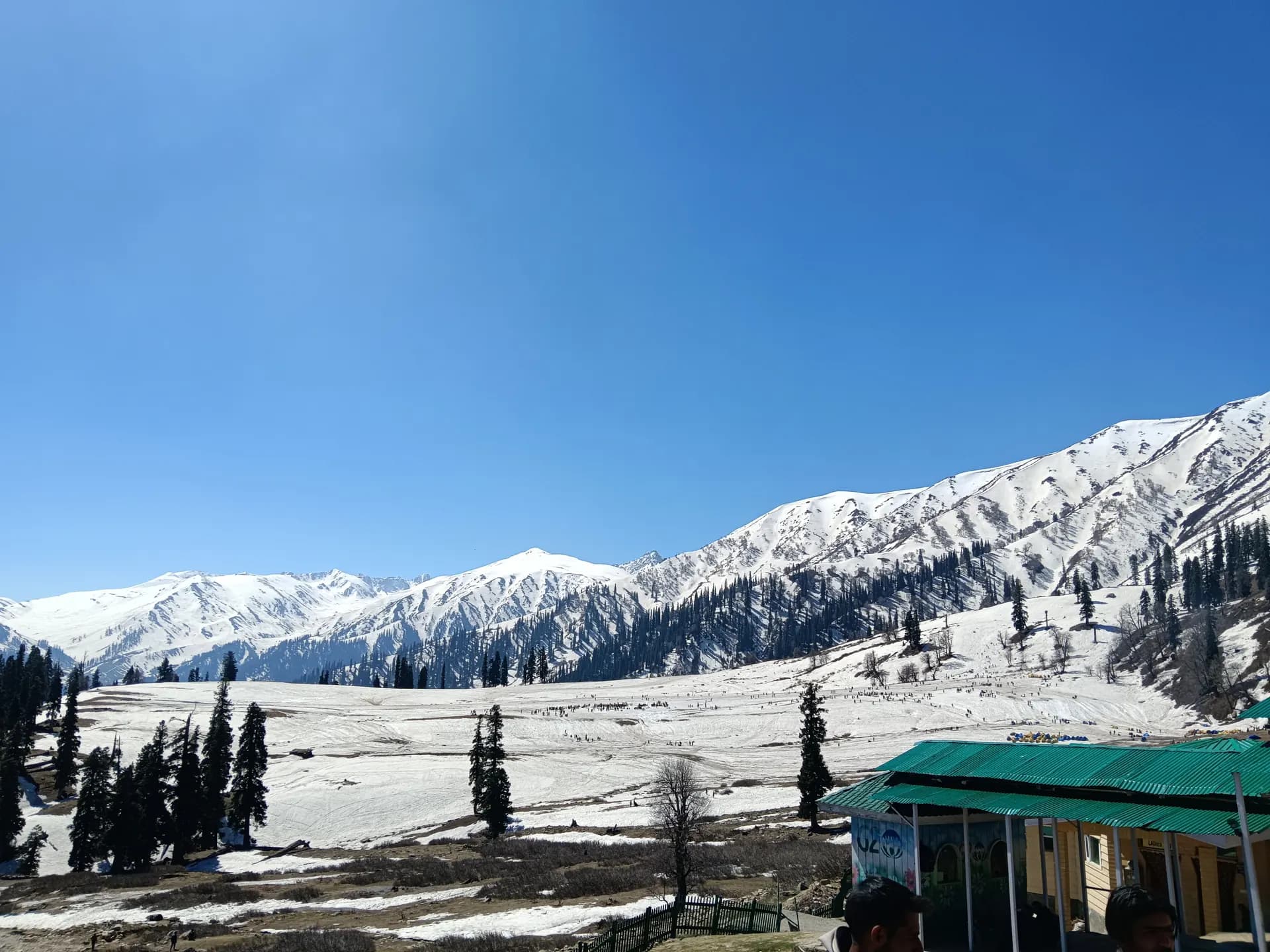 Snow-covered Pir Panjal peaks and pine trees above the snowy Gulmarg meadow under a clear blue sky